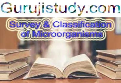 BSc Survey and Classification of Microorganisms Notes Study Material